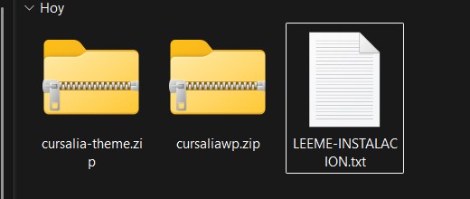 Los 3 archivos: plugin, tema e instrucciones