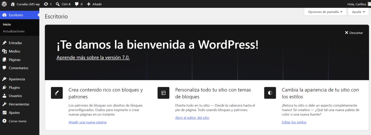 El Escritorio de WordPress (todavía vacío)